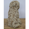 Sitting Shaggy Dog