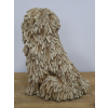 Sitting Shaggy Dog