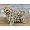 Shaggy Dog