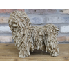 Shaggy Dog