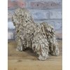 Shaggy Dog