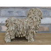 Shaggy Dog