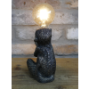 Monkey Light