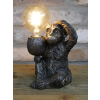 Monkey Light