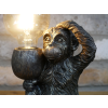 Monkey Light