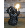 Monkey Light