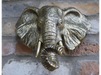 Elephant Head