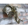 Elephant Head