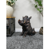 Warthog