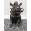 Warthog