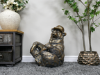 Sitting Bear