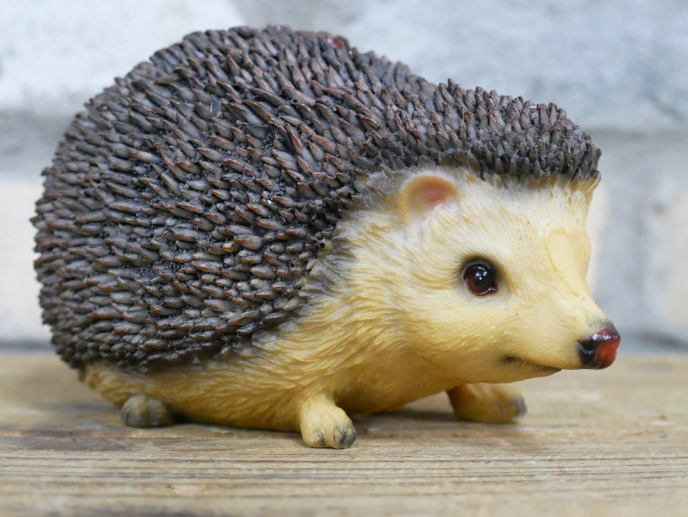 Hedgehog