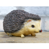 Hedgehog