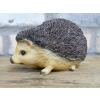 Hedgehog