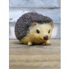 Hedgehog