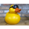 Cool Duck - Yellow