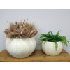 Set Of 2 Metal Planters