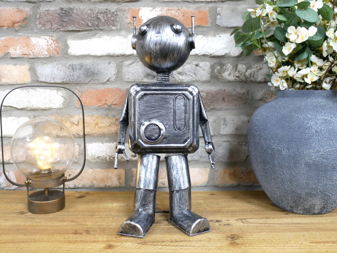 Robot