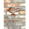 Rusty Stake (Bird Family)