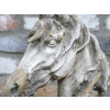 Horse Head