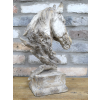 Horse Head