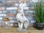 Sitting Rabbit