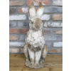 Sitting Rabbit