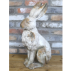 Sitting Rabbit