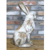 Sitting Rabbit