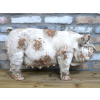 Pig Planter