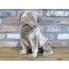 Sitting Dog