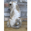 Sitting Dog