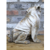 Sitting Dog