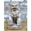 Lion Dog