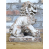 Lion Dog