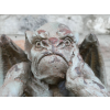 Gargoyle