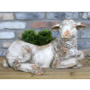Sheep Planter