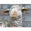 Sheep Planter