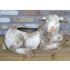 Sheep Planter