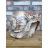 Snail