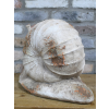 Snail