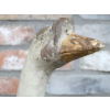 Large Goose
