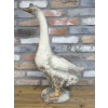 Large Goose