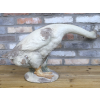 Large Goose - Neck Down