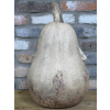 Pear Face
