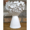 Head Planter