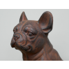 Sitting Dog