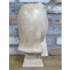 Face Planter