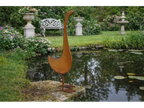 Small Rusty Bird