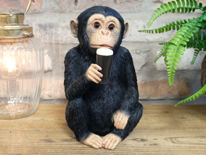 Monkey McGuinness